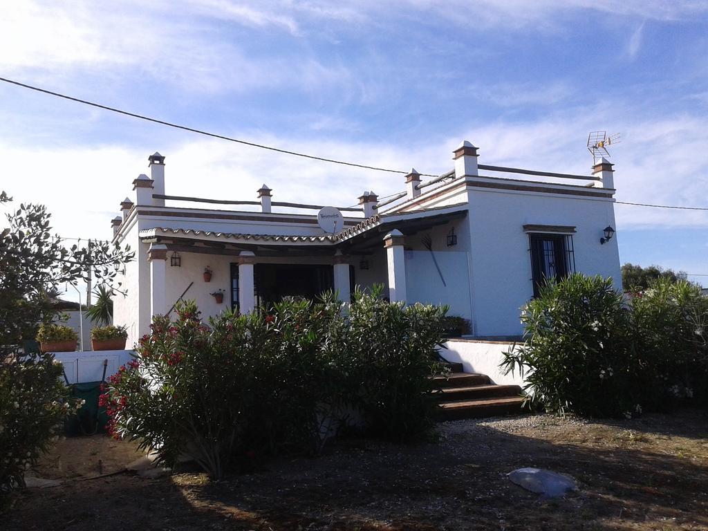 El Matorral Chalet Vejer de la Frontera Oda fotoğraf